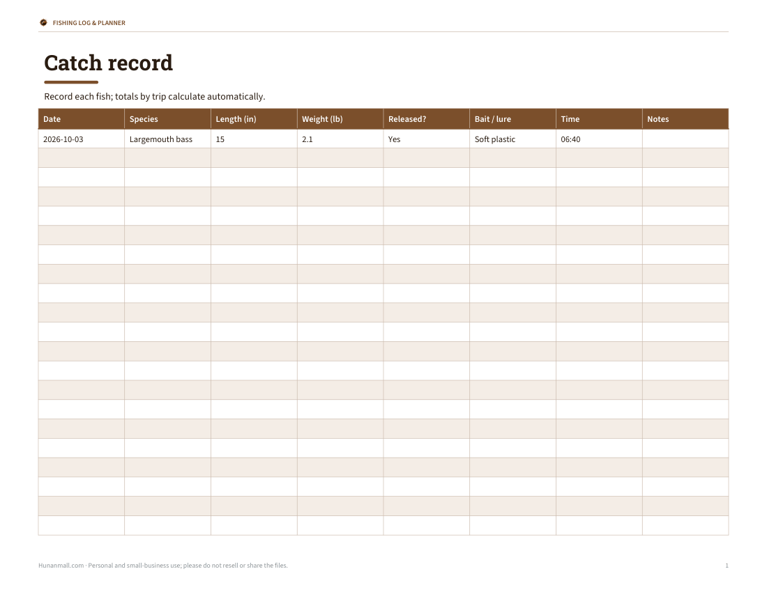 Preview of the first page of Catch record (XLSX)